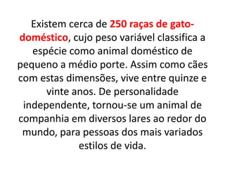 Existem cerca de 250 raças de gato-
doméstico, cujo peso variável classifica a
espécie como animal doméstico de
pequeno a médio porte. Assim como cães
com estas dimensões, vive entre quinze e
vinte anos. De personalidade
independente, tornou-se um animal de
companhia em diversos lares ao redor do
mundo, para pessoas dos mais variados
estilos de vida.
 