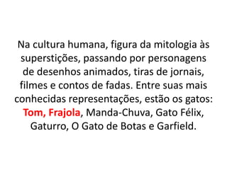 Na cultura humana, figura da mitologia às
superstições, passando por personagens
de desenhos animados, tiras de jornais,
filmes e contos de fadas. Entre suas mais
conhecidas representações, estão os gatos:
Tom, Frajola, Manda-Chuva, Gato Félix,
Gaturro, O Gato de Botas e Garfield.
 