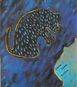 O Gato e o Escuro (Mia Couto)