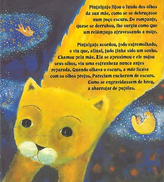 O Gato e o Escuro (Mia Couto)