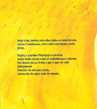 O Gato e o Escuro (Mia Couto)