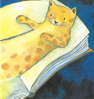 O Gato e o Escuro (Mia Couto)