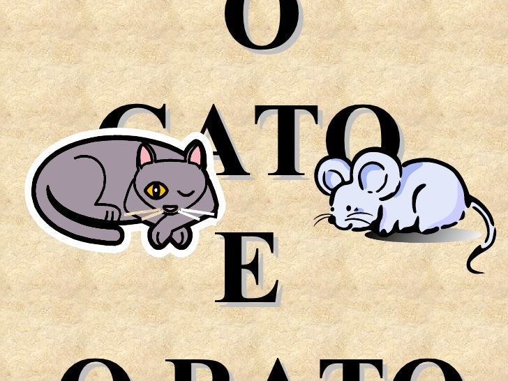 Eo gato Clearance