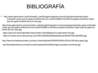 BIBLIOGRAFÍA
●
http://www.agenciasinc.es/var/ezwebin_site/storage/images/en-exclusiva/programados/las-gatas-
entienden-mejor-que-los-gatos-el-llanto-de-sus-crias/5763989-6-esl-MX/Las-gatas-entienden-mejor-
que-los-gatos-el-llanto-de-sus-crias.jpg
http://www.agenciasinc.es/var/ezwebin_site/storage/images/en-exclusiva/programados/las-gatas-entienden-
mejor-que-los-gatos-el-llanto-de-sus-crias/5763989-6-esl-MX/Las-gatas-entienden-mejor-que-los-gatos-el-
llanto-de-sus-crias.jpg
https://ugc.kn3.net/i/origin/http://www.fondox.net/wallpapers/un-gato-bebe-433.jpg
https://s-media-cache-ak0.pinimg.com/736x/32/06/fb/3206fba0ed2a3d196460765e1f650905.jpg
http://www.animalesyanimales.com/wp-content/uploads/2009/04/20081102164739-fotos-gatos.jpg
ttp://frasesdeesfuerzo.com/wp-hcontent/uploads/2016/06/imagen-de-gatos-comiendo.jpg
 