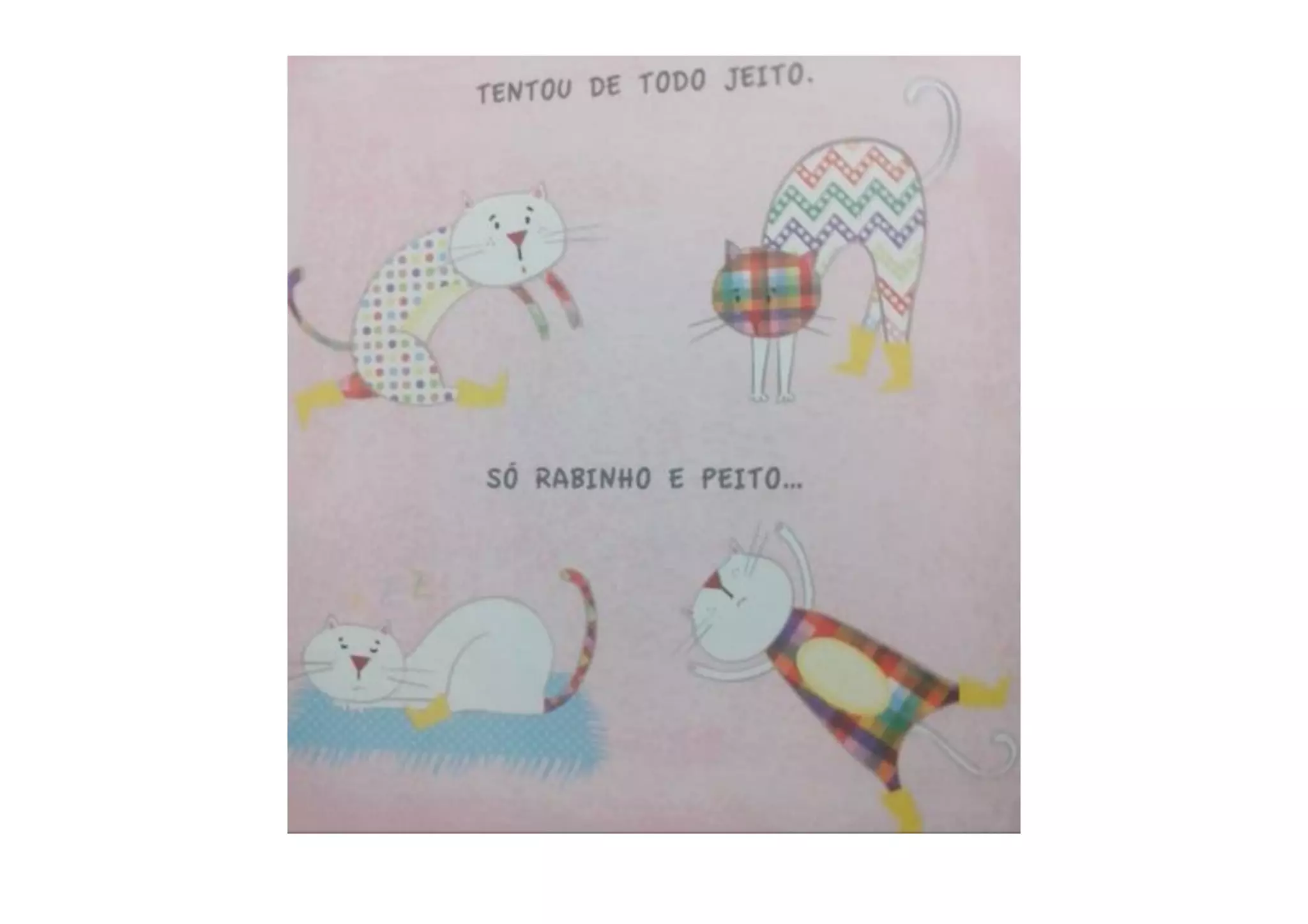 O Gato Xadrez -  Isa Mara Lando