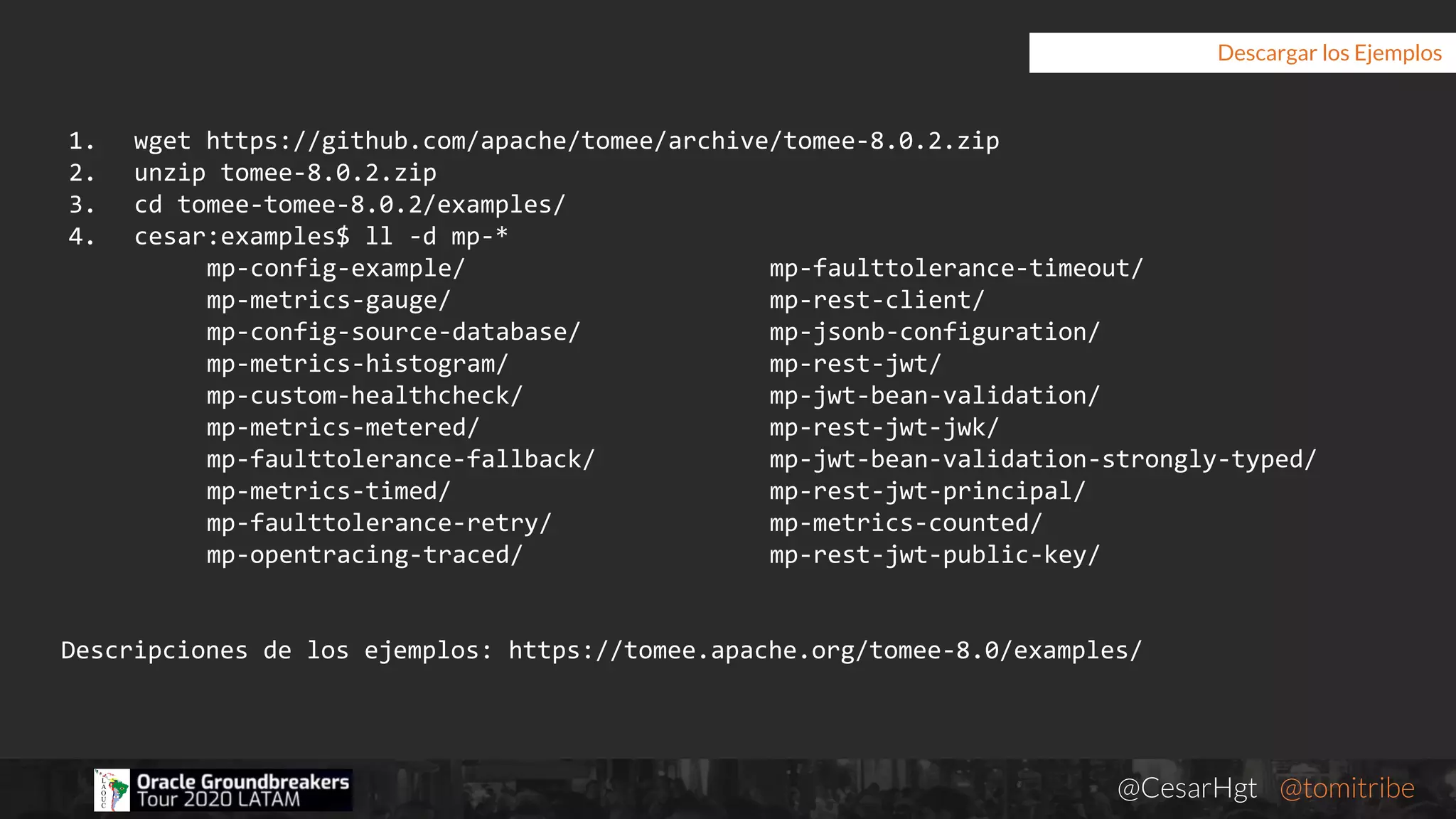 @CesarHgt @tomitribejugbaq.org
Descargar los Ejemplos
1. wget https://github.com/apache/tomee/archive/tomee-8.0.2.zip
2. unzip tomee-8.0.2.zip
3. cd tomee-tomee-8.0.2/examples/
4. cesar:examples$ ll -d mp-*
mp-config-example/ mp-faulttolerance-timeout/
mp-metrics-gauge/ mp-rest-client/
mp-config-source-database/ mp-jsonb-configuration/
mp-metrics-histogram/ mp-rest-jwt/
mp-custom-healthcheck/ mp-jwt-bean-validation/
mp-metrics-metered/ mp-rest-jwt-jwk/
mp-faulttolerance-fallback/ mp-jwt-bean-validation-strongly-typed/
mp-metrics-timed/ mp-rest-jwt-principal/
mp-faulttolerance-retry/ mp-metrics-counted/
mp-opentracing-traced/ mp-rest-jwt-public-key/
Descripciones de los ejemplos: https://tomee.apache.org/tomee-8.0/examples/
 