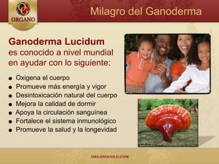  Medio billón de tazas de café   se consumen a diario en Norteamérica.