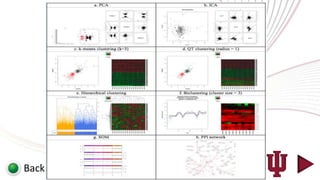 EXPERIMENTS




Back
 