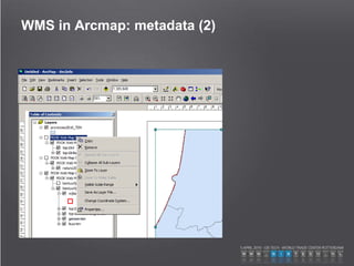 WMS in Arcmap: metadata (2)
 