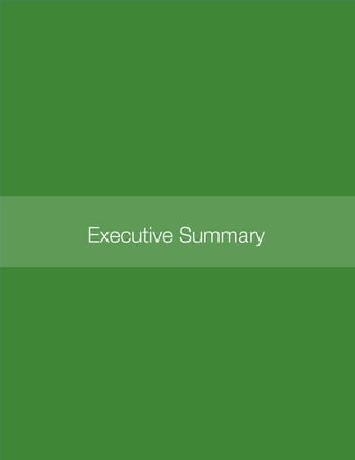 7
Executive Summary
 