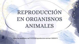 REPRODUCCIÓN
EN ORGANISNOS
ANIMALES
https://es.slideshare.net/TATIPINI/reproduccion-animal-13893015
 