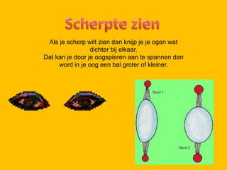 Scherp Ogen | PPTX