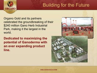 Exclusive and Powerful Ingredient100% Certified Organic                 Ganoderma LucidumMore than 4,000 years of history, originally reserved for “Royalty”.Regarded by the Chinese as the             “King of Herbs” or the “Miracle Herb,” because of its ability to help improve the body's healing capacity, and longevity.With well over 150 antioxidants and phytonutrients, Ganoderma Lucidum is the closest thing to nutritional perfection found in nature.