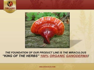 THE FOUNDATION OF OUR PRODUCT LINE IS THE MIRACULOUS
“KING OF THE HERBS” 100% ORGANIC GANODERMA!
 