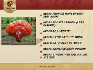 HELPS PROVIDE MORE ENERGY AND VIGOR! HELPS BOOSTS STAMINA (LESS FATIGUE)! HELPS REJUVENATE! HELPS OXYGENATE THE BODY! HELPS NATURALLY DETOXIFY! HELPS INCREASE BRAIN POWER! HELPS STRENGTHEN THE IMMUNE SYSTEM! 
