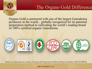 The Organo Gold Difference Organo Gold is partnered with one of the largest Ganoderma producers in the world... globally recognized for its patented preparation method in cultivating the world’s leading brand  of 100% certified organic Ganoderma.  Patent on Ganoderma Lucidum Products & Preparation Method (Patent Number ZL01101789.9) 