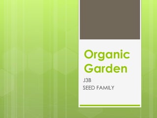 Organic
Garden
J3B
SEED FAMILY
 