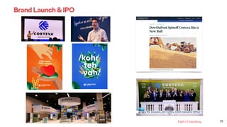 23
Brand Launch & IPO
 