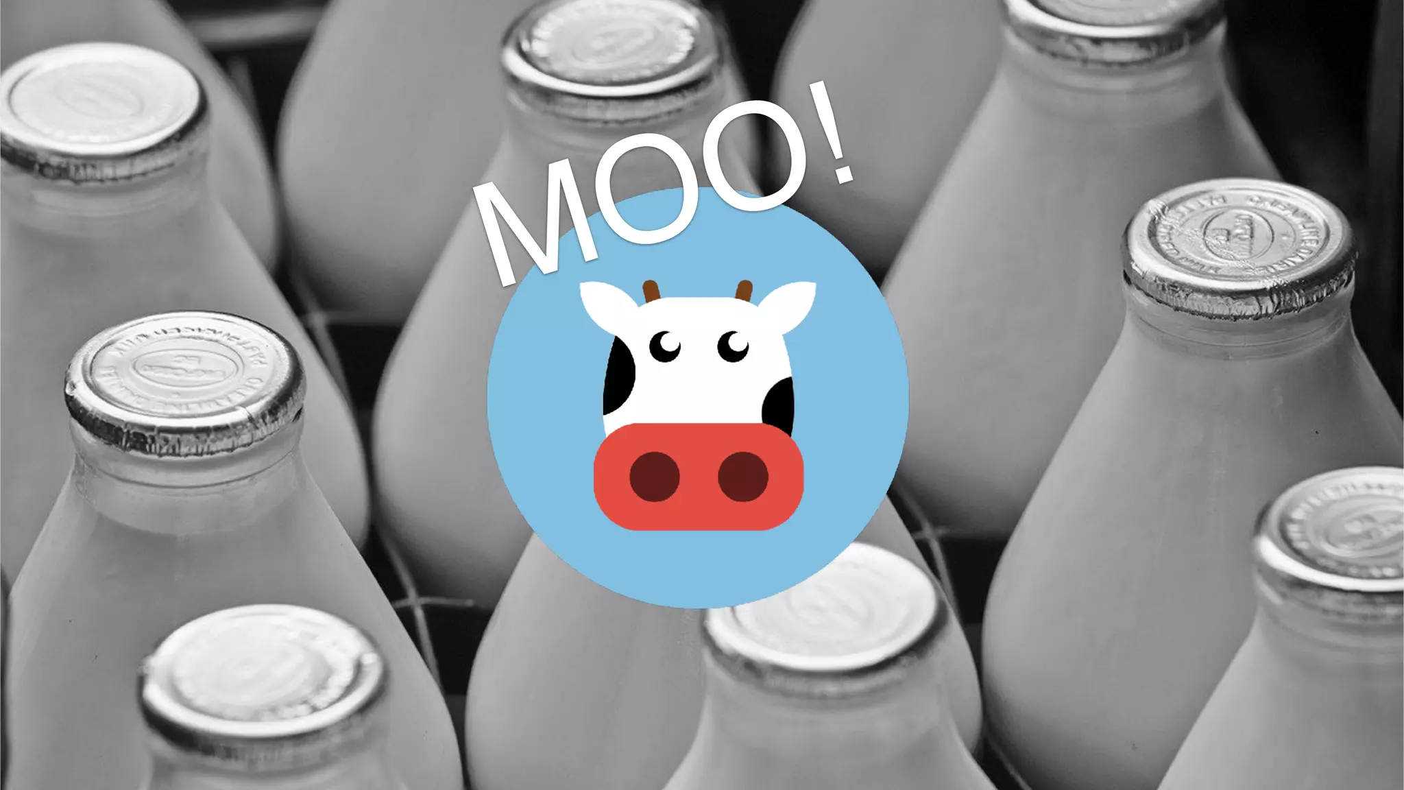 MOO!
 