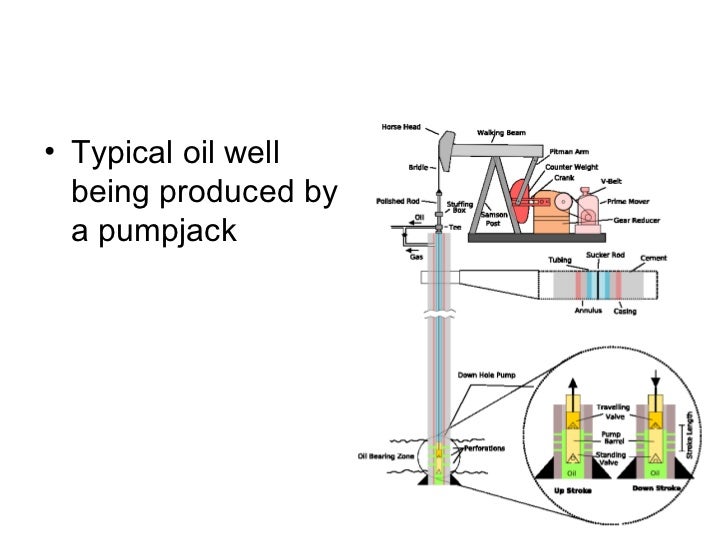 Brief Introduction into Oil & Gas Industry by Fidan Aliyeva