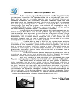 O girassol e o educador