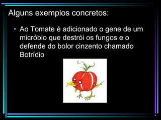 Alguns exemplos concretos:
• Ao Tomate é adicionado o gene de um
micróbio que destrói os fungos e o
defende do bolor cinzento chamado
Botrídio
 