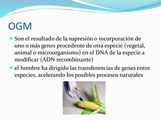 OGM
 Son el resultado de la supresión o incorporación de
uno o más genes procedente de otra especie (vegetal,
animal o microorganismo) en el DNA de la especie a
modificar (ADN recombinante)
 el hombre ha dirigido las transferencias de genes entre
especies, acelerando los posibles procesos naturales
 