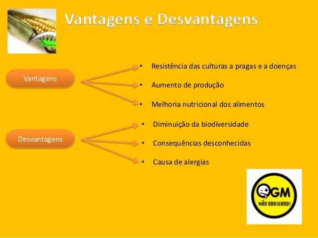 Areas da genetica