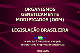 ORGANISMOS
GENETICAMENTE
MODIFICADOS (OGM)
LEGISLAÇÃO BRASILEIRA
Maria José Amstalden Sampaio
Secretaria de Propriedade Intelectual
maio,2002
 