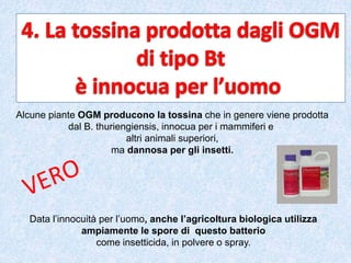 Alcune piante OGM producono la tossina che in genere viene prodotta
dal B. thuriengiensis, innocua per i mammiferi e
altri animali superiori,
ma dannosa per gli insetti.
Data l’innocuità per l’uomo, anche l’agricoltura biologica utilizza
ampiamente le spore di questo batterio
come insetticida, in polvere o spray.
 
