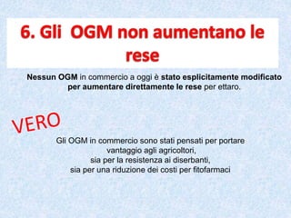 Nessun OGM in commercio a oggi è stato esplicitamente modificato
per aumentare direttamente le rese per ettaro.
Gli OGM in commercio sono stati pensati per portare
vantaggio agli agricoltori,
sia per la resistenza ai diserbanti,
sia per una riduzione dei costi per fitofarmaci
 