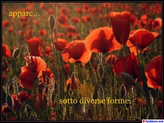 appare...   sotto diverse forme. 