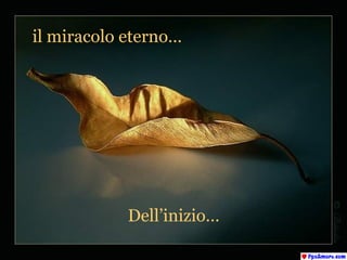 il miracolo eterno… ٱ’iԾ… 