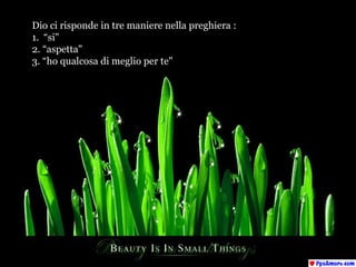 Dio ci risponde in tre maniere nella preghiera : 1.  “si&quot; 2. “aspetta&quot; 3. “ho qualcosa di meglio per te&quot;  