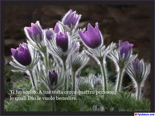 Ti ho scelto. A tua volta cerca quattro persone  le quali Dio le vuole benedire.  