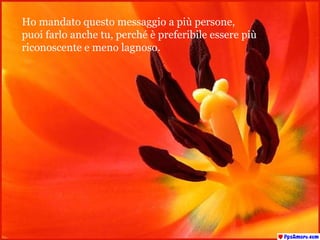 Ho mandato questo messaggio a più persone,  puoi farlo anche tu, perché è preferibile essere più  riconoscente  e meno lagnoso. 