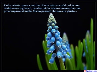 Padre celeste, questa mattina, il mio letto era caldo ed io non  desideravo svegliarmi, ne alzarmi. Io volevo rimanere là e non  preoccuparmi di nulla. Ma ho pensato che non era giusto... 