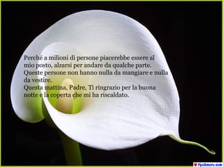 Perché a milioni di persone piacerebbe essere al  mio posto, alzarsi per andare da qualche parte. Queste persone non hanno nulla da mangiare e nulla da vestire. Questa mattina, Padre, Ti ringrazio per la buona  notte e la coperta che mi ha riscaldato. 