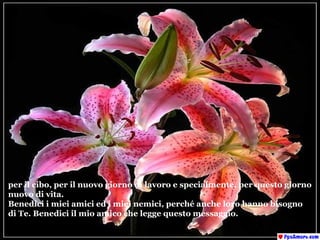 per il cibo, per il nuovo giorno di lavoro e specialmente, per questo giorno  nuovo di vita. Benedici i miei amici ed i miei nemici, perché anche loro hanno bisogno di Te. Benedici il mio amico che legge questo messaggio. 