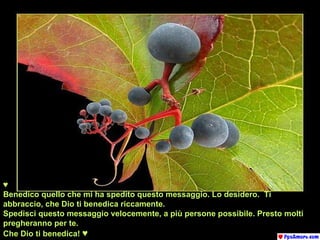 ♥ Benedico quello che mi ha spedito questo messaggio. Lo desidero.  Ti abbraccio, che Dio ti benedica riccamente. Spedisci questo messaggio velocemente, a più persone possibile. Presto molti pregheranno per te. Che Dio ti benedica!   ♥ 