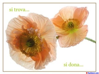 si trova... si dona... 