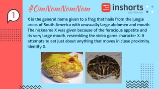 #OmNomNomNom
X is the general name given to a frog that hails from the jungle
areas of South America with unusually large abdomen and mouth.
The nickname X was given because of the ferocious appetite and
its very large mouth, resembling the video game character X. It
attempts to eat just about anything that moves in close proximity.
Identify X.
1
 