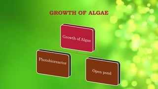 fuel for future : algae biofuel | PPTX