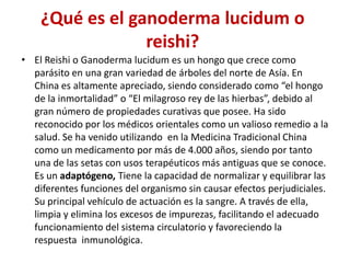 ¿Qué es el ganoderma lucidum o
                 reishi?
• El Reishi o Ganoderma lucidum es un hongo que crece como
  parásito en una gran variedad de árboles del norte de Asía. En
  China es altamente apreciado, siendo considerado como “el hongo
  de la inmortalidad” o “El milagroso rey de las hierbas”, debido al
  gran número de propiedades curativas que posee. Ha sido
  reconocido por los médicos orientales como un valioso remedio a la
  salud. Se ha venido utilizando en la Medicina Tradicional China
  como un medicamento por más de 4.000 años, siendo por tanto
  una de las setas con usos terapéuticos más antiguas que se conoce.
  Es un adaptógeno, Tiene la capacidad de normalizar y equilibrar las
  diferentes funciones del organismo sin causar efectos perjudiciales.
  Su principal vehículo de actuación es la sangre. A través de ella,
  limpia y elimina los excesos de impurezas, facilitando el adecuado
  funcionamiento del sistema circulatorio y favoreciendo la
  respuesta inmunológica.
 