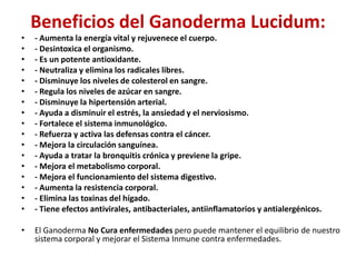 Beneficios del Ganoderma Lucidum:
•   - Aumenta la energía vital y rejuvenece el cuerpo.
•   - Desintoxica el organismo.
•   - Es un potente antioxidante.
•   - Neutraliza y elimina los radicales libres.
•   - Disminuye los niveles de colesterol en sangre.
•   - Regula los niveles de azúcar en sangre.
•   - Disminuye la hipertensión arterial.
•   - Ayuda a disminuir el estrés, la ansiedad y el nerviosismo.
•   - Fortalece el sistema inmunológico.
•   - Refuerza y activa las defensas contra el cáncer.
•   - Mejora la circulación sanguínea.
•   - Ayuda a tratar la bronquitis crónica y previene la gripe.
•   - Mejora el metabolismo corporal.
•   - Mejora el funcionamiento del sistema digestivo.
•   - Aumenta la resistencia corporal.
•   - Elimina las toxinas del hígado.
•   - Tiene efectos antivirales, antibacteriales, antiinflamatorios y antialergénicos.

•   El Ganoderma No Cura enfermedades pero puede mantener el equilibrio de nuestro
    sistema corporal y mejorar el Sistema Inmune contra enfermedades.
 