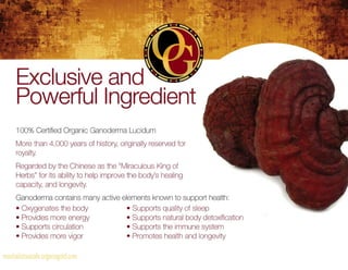 Mochalicious Cafe' (Organo Gold)