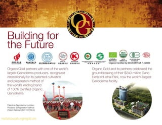 Mochalicious Cafe' (Organo Gold)