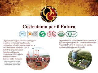 Costruiamo per il Futuro

Organo Gold coopera con uno dei maggiori       Organo Gold ha celebrato con i propri partner la
produttori di Ganoderma al mondo,              posa della prima pietra del loro Parco Industriale
riconosciuto a livello internazionale per la   "Gano Herb" di $240 milioni, il più grande
sua coltivazione brevettata e per il           impianto di Ganoderma al mondo.
metodo di preparazione di
Ganoderma Organico
certificato al 100%, che lo
ha fatto diventare
marchio leader mondiale.
 