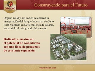 Construyendo para el Futuro

Organo Gold y sus socios celebraron la
inauguración del Parque Industrial de Gano
Herb valorado en $240 millones de dólares,
haciéndolo el más grande del mundo.


Dedicado a maximizar
el potencial de Ganoderma
con una línea de productos
de constante expansión.
 