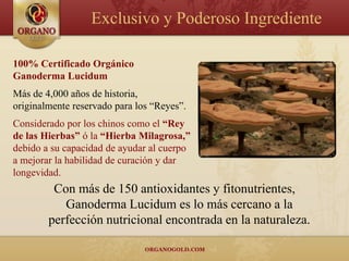 Exclusivo y Poderoso Ingrediente

100% Certificado Orgánico
Ganoderma Lucidum
Más de 4,000 años de historia,
originalmente reservado para los “Reyes”.
Considerado por los chinos como el “Rey
de las Hierbas” ó la “Hierba Milagrosa,”
debido a su capacidad de ayudar al cuerpo
a mejorar la habilidad de curación y dar
longevidad.
         Con más de 150 antioxidantes y fitonutrientes,
           Ganoderma Lucidum es lo más cercano a la
        perfección nutricional encontrada en la naturaleza.
 